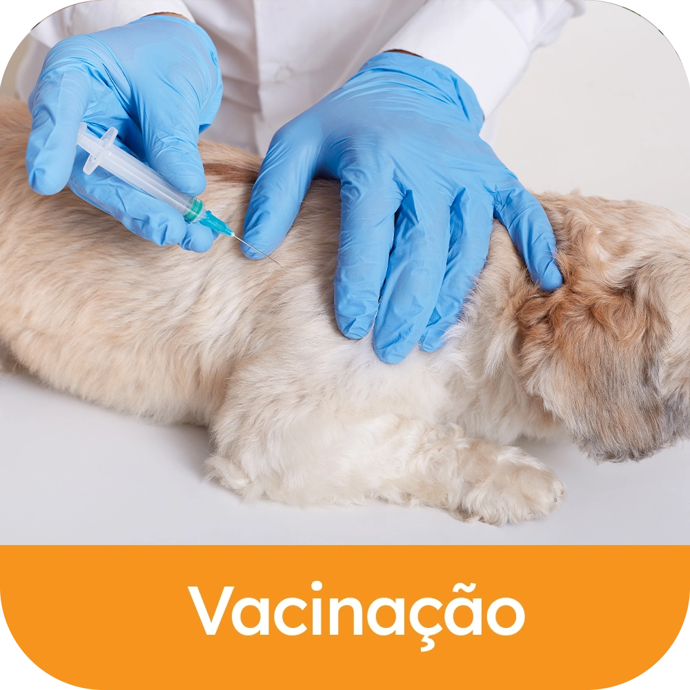 Vacinacao.webp